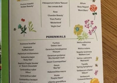Gardengigs-Chelsea-Flower-Show-Plant-List