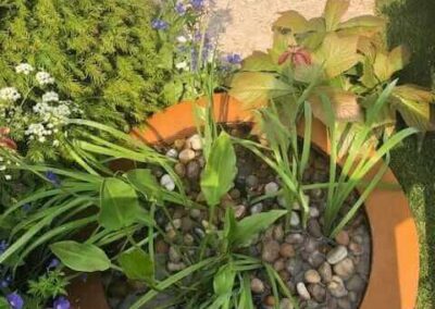 Gardengigs-THE-SILENT-POOL-GIN-GARDEN-Chelsea-Flower-Show-Potten-Plants