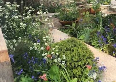 Gardengigs-THE-SILENT-POOL-GIN-GARDEN-Chelsea-Flower-Show-View-of-the-Garden